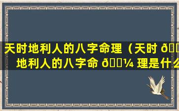 天时地利人的八字命理（天时 🐡 地利人的八字命 🐼 理是什么）